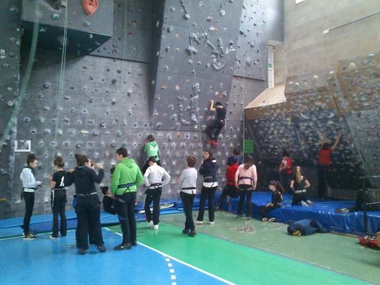 deporte escolar escalada