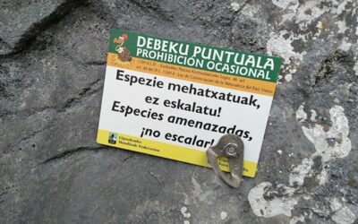 Nuevas regulaciones de zonas de escalada